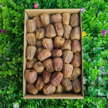 Premium Sukkari Mufattal– 1KG