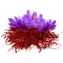 Saffron 1gm